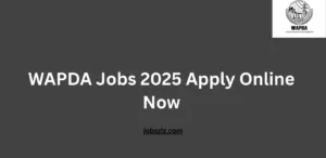 WAPDA Jobs 2025 Apply Online Now
