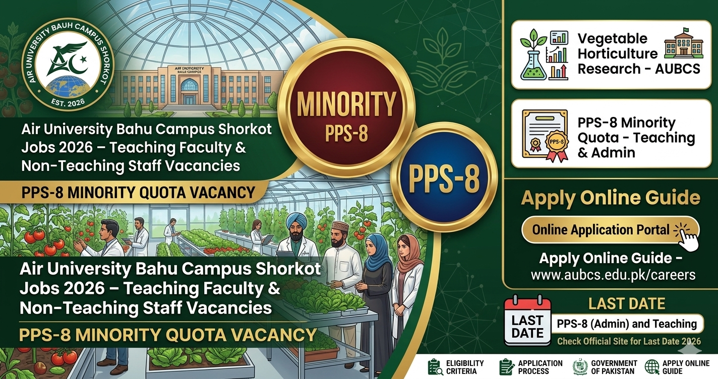 Air University Bahu Campus Shorkot Jobs