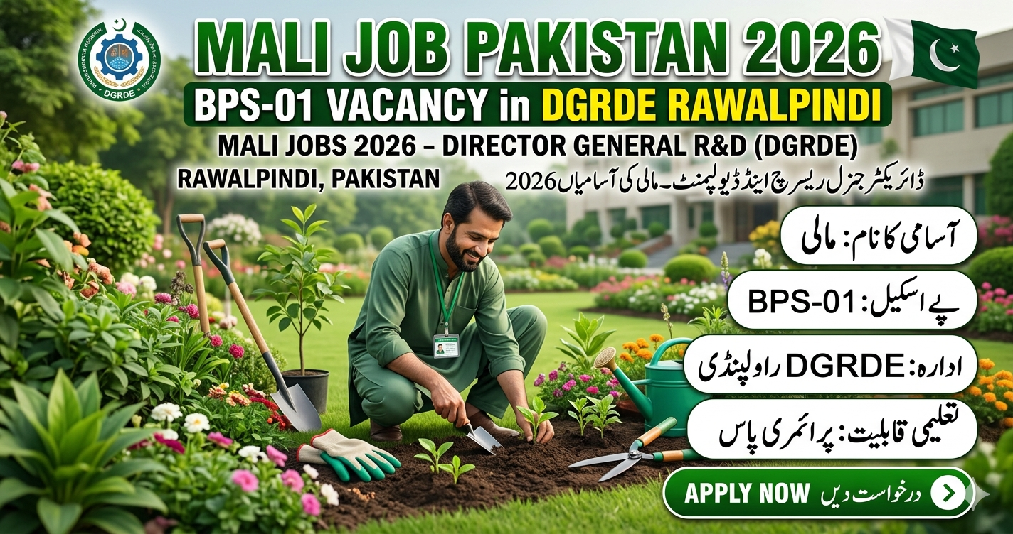 Mali Job Pakistan 2026